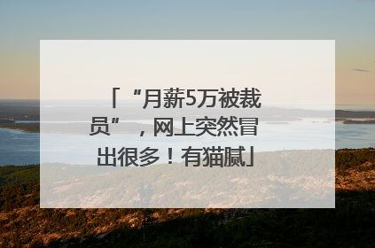 “月薪5万被裁员”，网上突然冒出很多！有猫腻