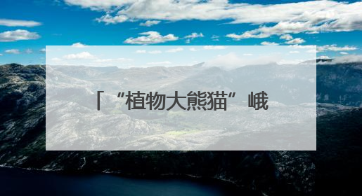 “植物大熊猫”峨眉拟单性木兰在野外回归点首次开花