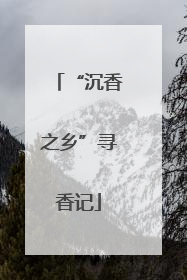 “沉香之乡”寻香记