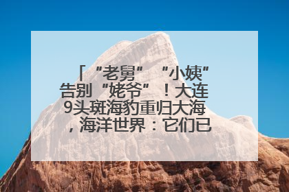 “老舅”“小姨”告别“姥爷”！大连9头斑海豹重归大海，海洋世界：它们已具备野外生存能力