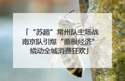 “苏超”常州队主场战南京队引爆“票根经济” 撬动全城消费狂欢
