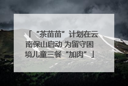 “茶苗苗”计划在云南保山启动 为留守困境儿童三餐“加肉”