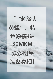 “超级大黄蜂”、特色涂装苏-30MKM 众多明星装备亮相