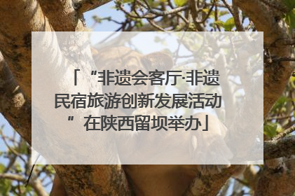 “非遗会客厅·非遗民宿旅游创新发展活动”在陕西留坝举办