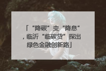 “降碳”变“降息”，临沂“临碳贷”探出绿色金融创新路