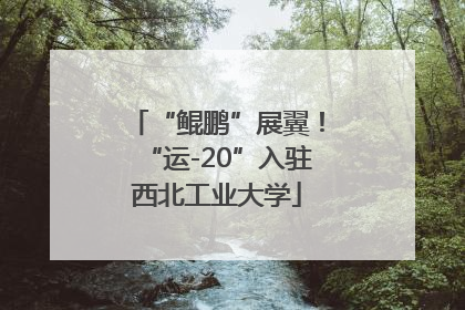 “鲲鹏”展翼！“运-20”入驻西北工业大学