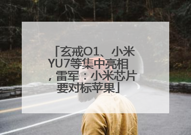 玄戒O1、小米YU7等集中亮相，雷军：小米芯片要对标苹果