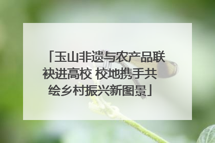 玉山非遗与农产品联袂进高校 校地携手共绘乡村振兴新图景