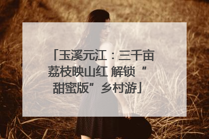 玉溪元江：三千亩荔枝映山红 解锁“甜蜜版”乡村游