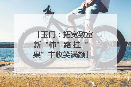 玉门：拓宽致富新“柿”路 挂“果”丰收笑满颜