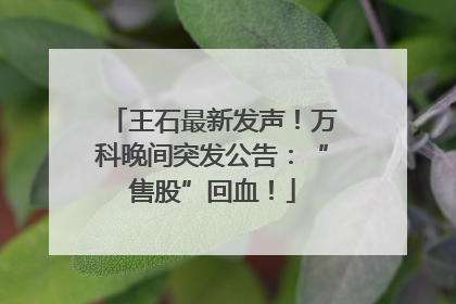 王石最新发声！万科晚间突发公告：“售股”回血！