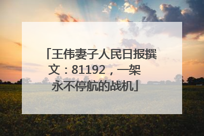王伟妻子人民日报撰文：81192，一架永不停航的战机