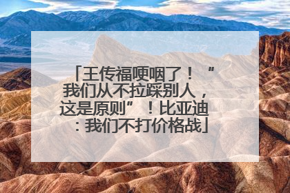 王传福哽咽了！“我们从不拉踩别人，这是原则”！比亚迪：我们不打价格战