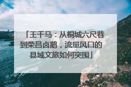 王千马：从桐城六尺巷到荣昌卤鹅，流量风口的县域文旅如何突围