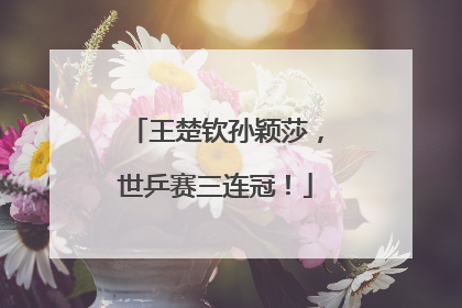 王楚钦孙颖莎，世乒赛三连冠！