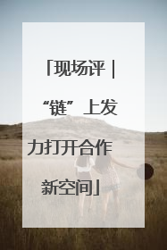 现场评｜“链”上发力打开合作新空间