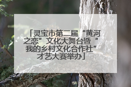 灵宝市第二届“黄河之恋”文化大舞台暨“我的乡村文化合作社”才艺大赛举办