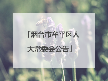 烟台市牟平区人大常委会公告