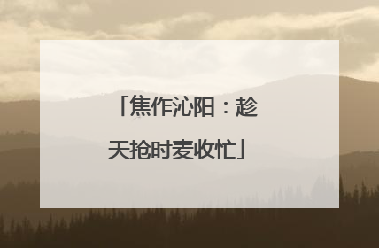 焦作沁阳：趁天抢时麦收忙