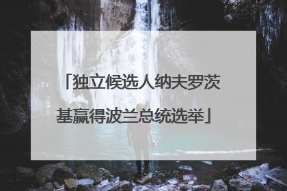 独立候选人纳夫罗茨基赢得波兰总统选举