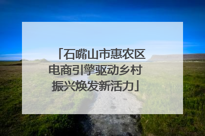 石嘴山市惠农区电商引擎驱动乡村振兴焕发新活力