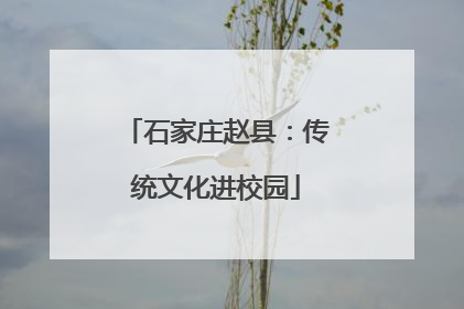 石家庄赵县：传统文化进校园
