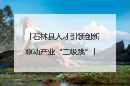 石林县人才引领创新驱动产业“三级跳”