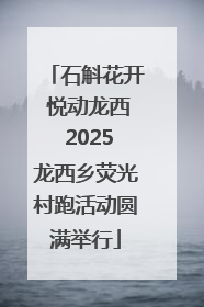 石斛花开 悦动龙西 2025龙西乡荧光村跑活动圆满举行