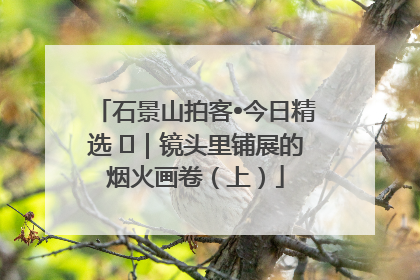 石景山拍客•今日精选 ㉓｜镜头里铺展的烟火画卷（上）