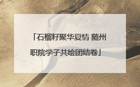 石榴籽聚华夏情 随州职院学子共绘团结卷