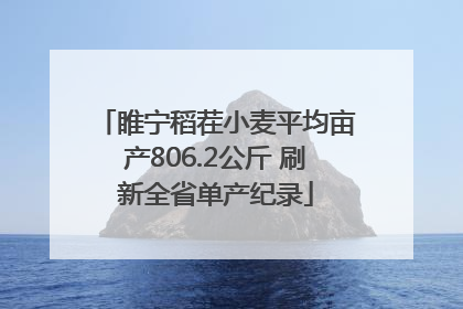 睢宁稻茬小麦平均亩产806.2公斤 刷新全省单产纪录
