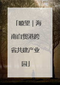 瞭望｜海南自贸港跨省共建产业园