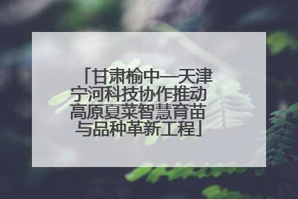 甘肃榆中—天津宁河科技协作推动高原夏菜智慧育苗与品种革新工程