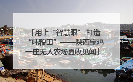 用上“智慧眼” 打造“吨粮田”——陕西宝鸡一座无人农场夏收见闻