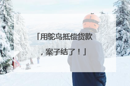 用鸵鸟抵偿货款，案子结了！