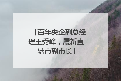 百年央企副总经理王秀峰，履新直辖市副市长