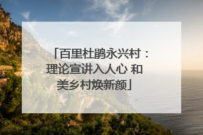 百里杜鹃永兴村：理论宣讲入人心 和美乡村焕新颜