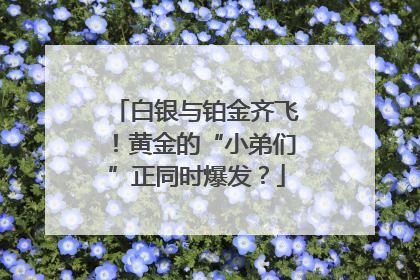 白银与铂金齐飞！黄金的“小弟们”正同时爆发？