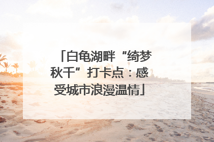 白龟湖畔“绮梦秋千”打卡点：感受城市浪漫温情