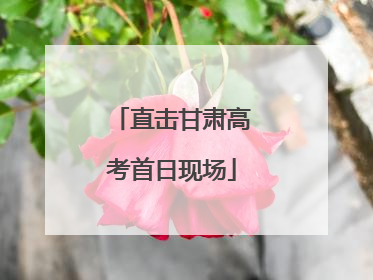 直击甘肃高考首日现场