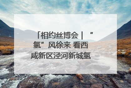 相约丝博会｜“氢”风徐来 看西咸新区泾河新城氢能产业聚链成势