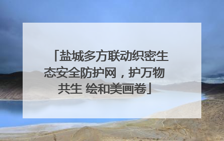 盐城多方联动织密生态安全防护网，护万物共生 绘和美画卷
