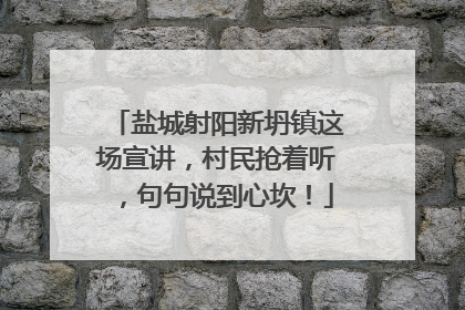盐城射阳新坍镇这场宣讲，村民抢着听，句句说到心坎！