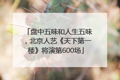 盘中五味和人生五味，北京人艺《天下第一楼》将演第600场