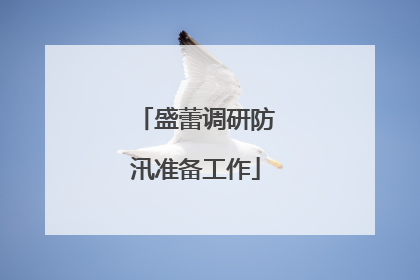 盛蕾调研防汛准备工作