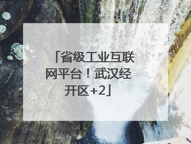 省级工业互联网平台！武汉经开区+2