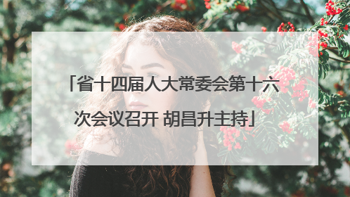 省十四届人大常委会第十六次会议召开 胡昌升主持