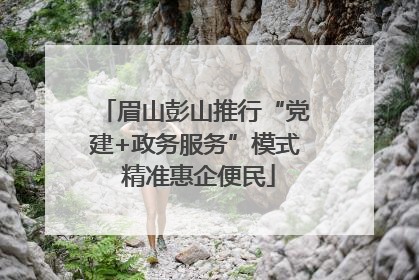 眉山彭山推行“党建+政务服务”模式 精准惠企便民