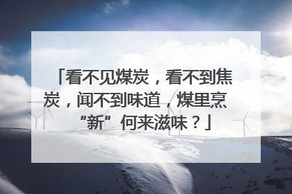 看不见煤炭，看不到焦炭，闻不到味道，煤里烹“新”何来滋味？