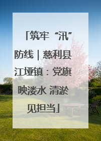 筑牢“汛”防线｜慈利县江垭镇：党旗映溇水 清淤见担当